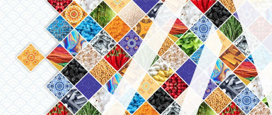Asstra Business - Connected by the New Silk Road